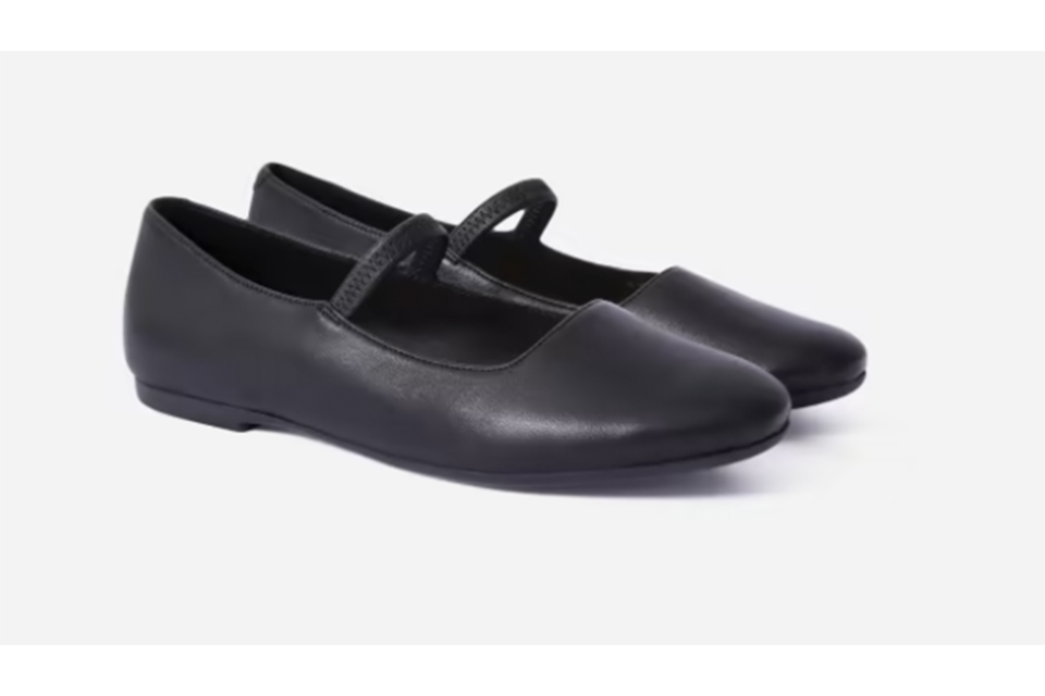 Everlane The Mary Jane Flat