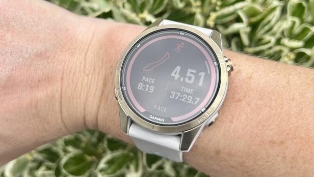 Pulsómetro Garmin Fenix 7 Standard Edition