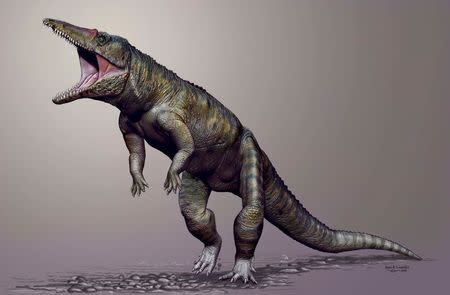 Carnufex carolensis, a newly-discovered crocodilian ancestor that walked on its hind legs, is pictured in this handout life reconstruction obtained by Reuters March 19, 2015. REUTERS/Jorge Gonzales/North Carolina State University/Handout via Reuters