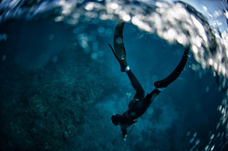 A free diver swims to the bottom of the ocean.