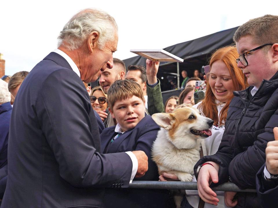 King Charles looks at a corgi.