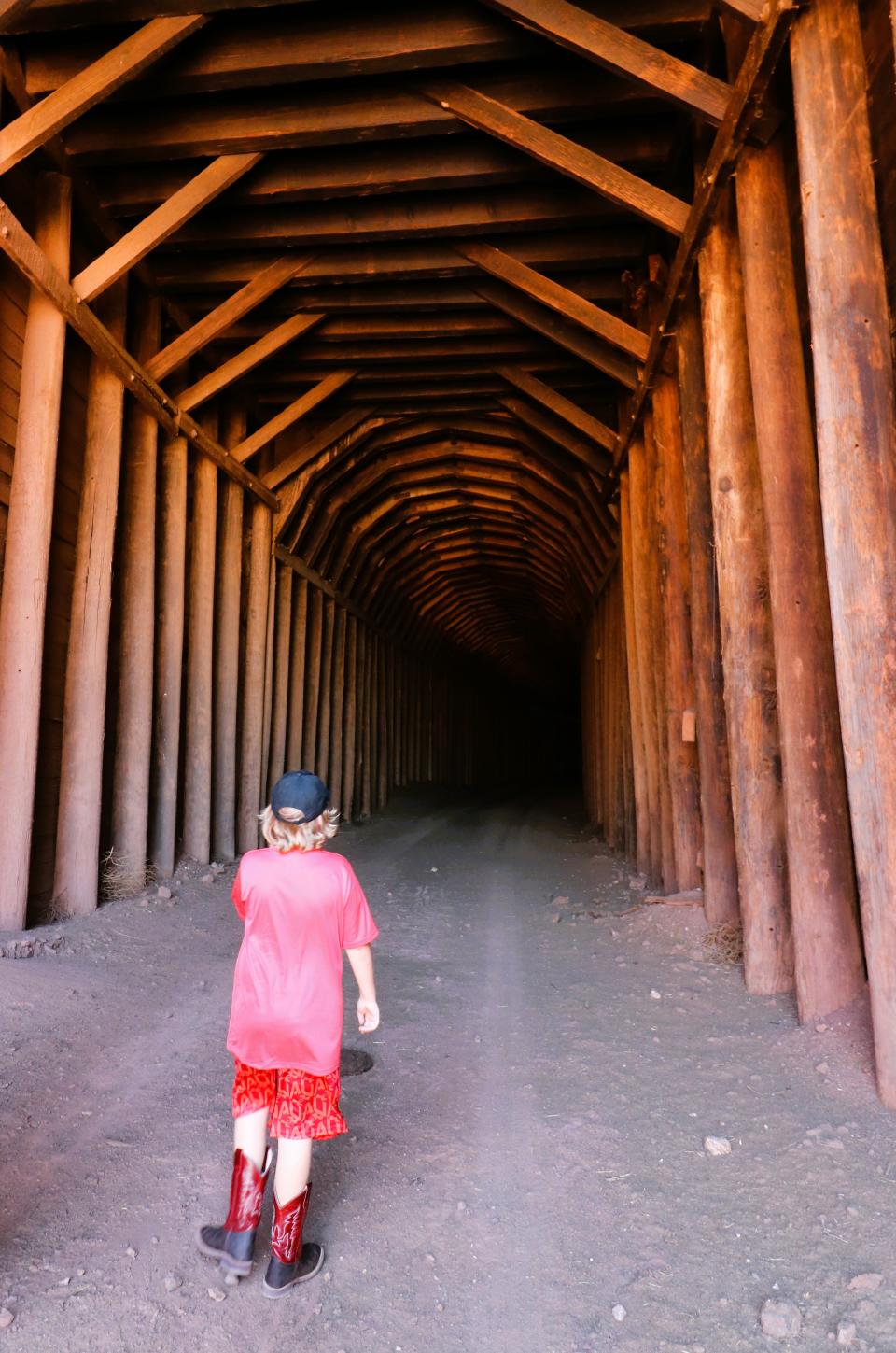 Visitors are wise to wear boots to walk through several inches of bat guano carpeting the old rail line.