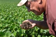 Farmer Doug Zink checks the quality of soil in his soybean field near Carrington, North Dakota