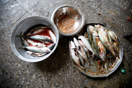 Fish is being prepared for a meal at The al-Shawkani Foundation for Orphans Care in Sanaa, Yemen, February 14, 2017. REUTERS/Khaled Abdullah