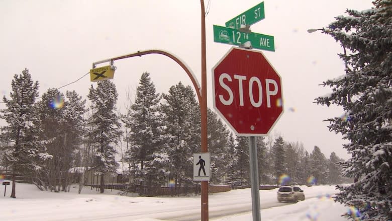 Parents say speeders on Whitehorse's 12th Avenue endanger kids