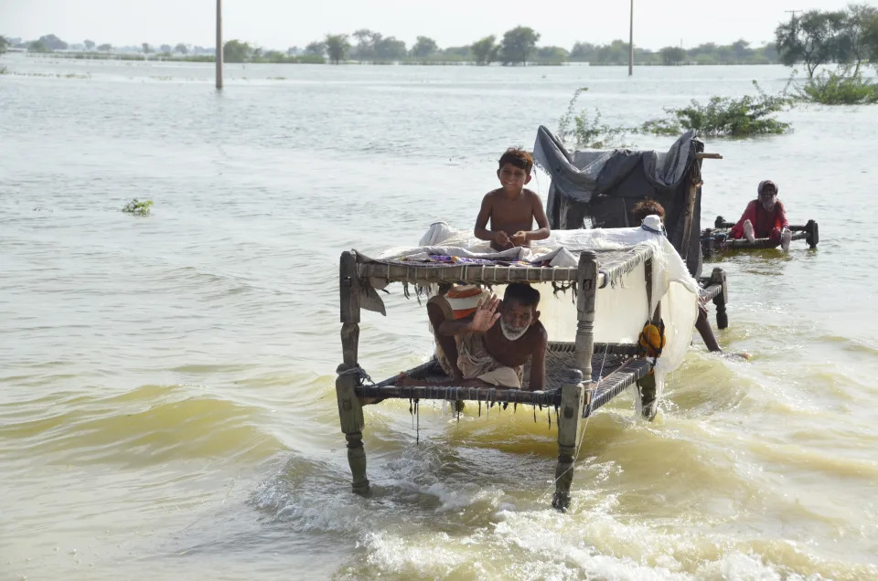 Los sobrevivientes, la mayoría de los cuales son pobres, ahora deben evitar el hambre y las enfermedades al acecho en las aguas crecientes y fétidas de la inundación. Se prevén más lluvias. Gran parte de Sindh está cerca del nivel del mar, lo que significa que las aguas de la inundación del norte seguirán corriendo río abajo. (AP/Zahid Hussain)