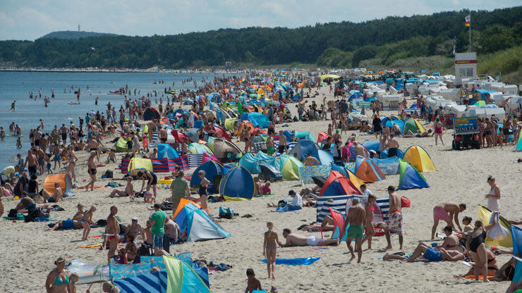 AfD und NPD - Usedom – eine Insel driftet nach rechts