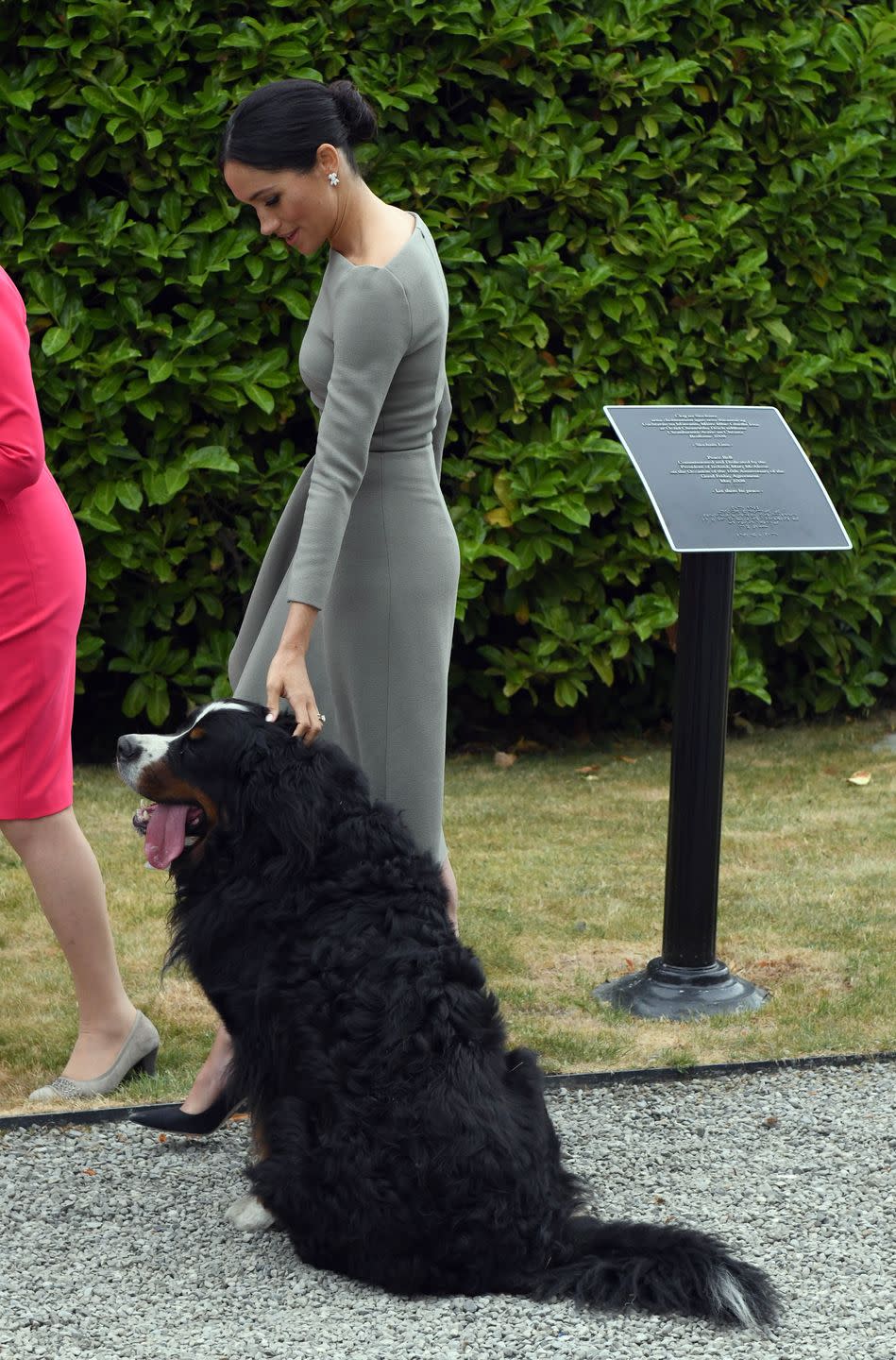 Meghan sneaks a pet from a dog.