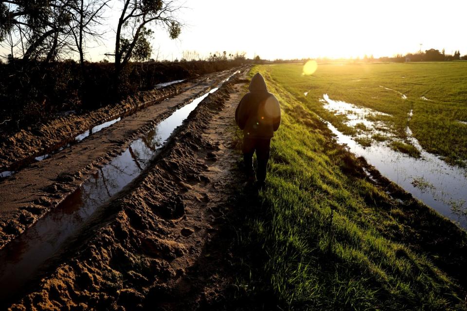 A man walks along a service road in Planada.