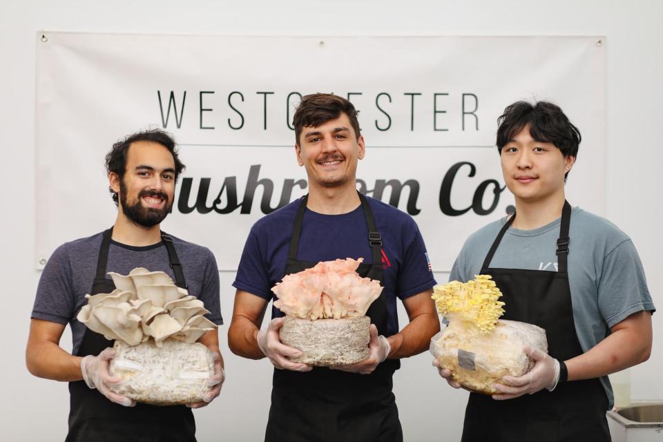 Jonathan Vantman, Austin Schatz and Benny Liu, the founders of Westchester Mushroom Co. at their indoor farm in Peekskill.