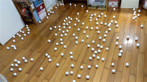 原PO端午節挑戰立153顆雞蛋。（圖／翻攝自 爆廢公社 ）