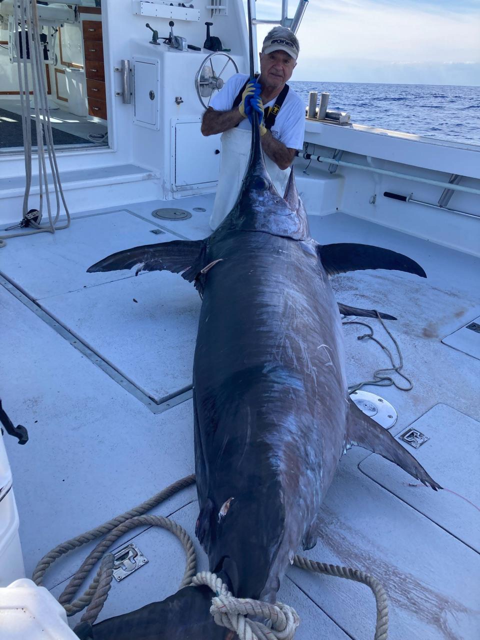 Bob Perimian of Rocky Point caught this swordfish off Hobe Sound Feb. 19, 2024. It is estimated to weigh more than 500 pounds.