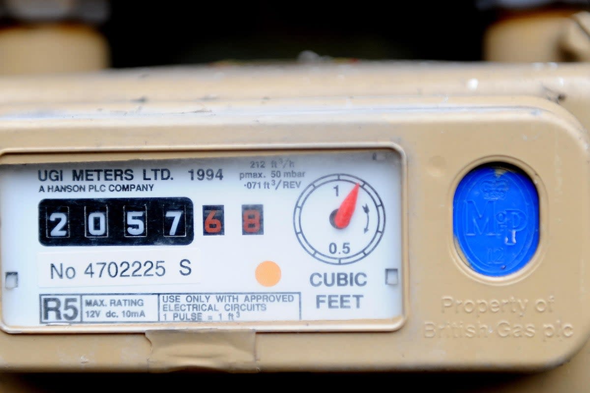 Some 10 million households should send energy meter readings to their supplier this weekend to ensure they do not overpay when cheaper prices come into effect on April 1 (Nick Ansell/PA) (PA Archive)