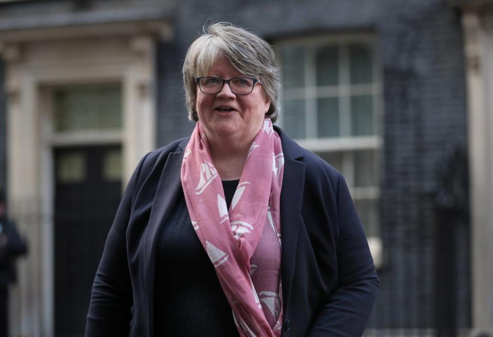 Work and Pensions Secretary Therese Coffey has admitted not being aware of a Government report warning that the rise in National Insurance could increase the likelihood of family breakdown (Aaron Chown/PA) (PA Archive)