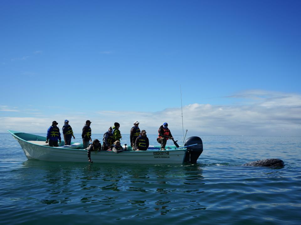 Ten people on a small blue boat looking out at a whale.