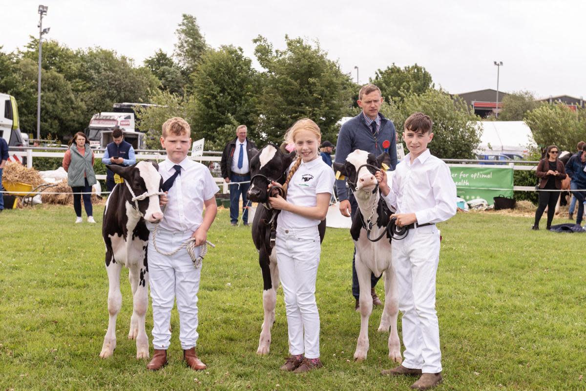 Fun for All the Family at this year's Omagh Show <i>(Image: Impartial Reporter)</i>