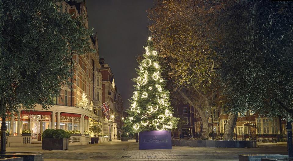 a tree with lights on it