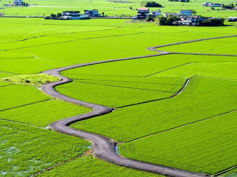 Photo：冬山鄉公所