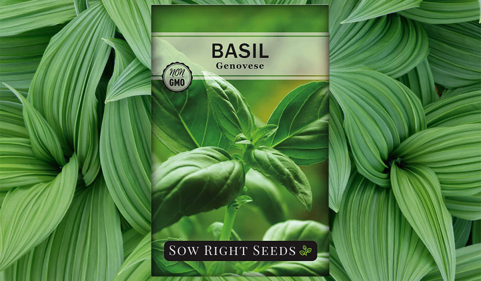 Sow Right Seeds - Genovese Basil Seed (Photo: Amazon)