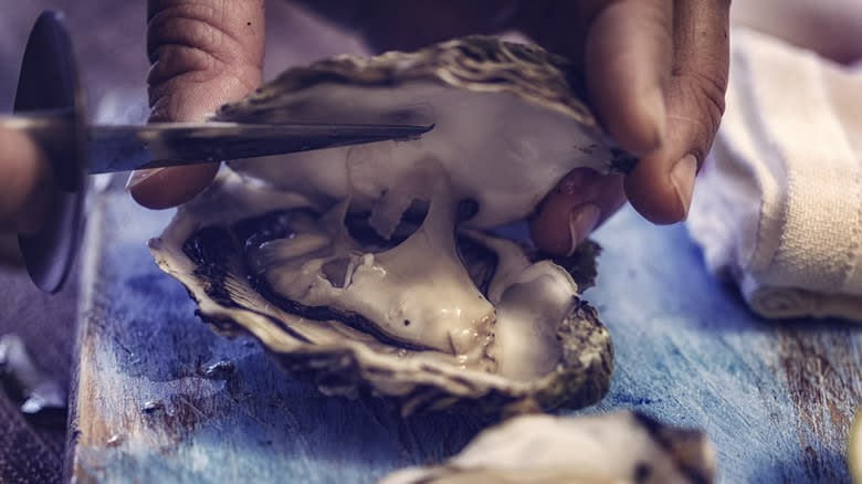 hand shucking oyster