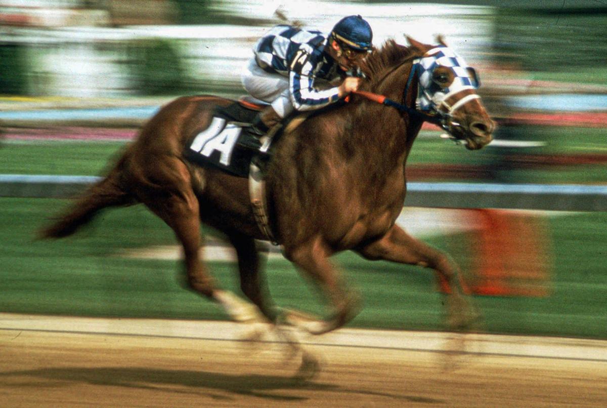 Marlins Man's latest appearance is at the Preakness Stakes 