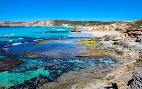 Kangaroo Island - Credit: Getty