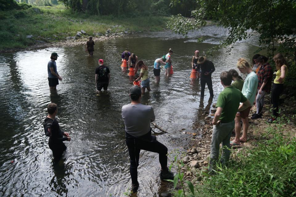 A Warren Wilson College class helped reintroduce tangerine darters into the Swannanoa River.