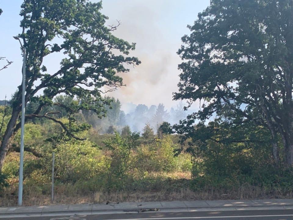 Smoke from a vegetation fire in South Salem is seen from Mildred Lane looking south on Wednesday, Aug. 23, 2023.