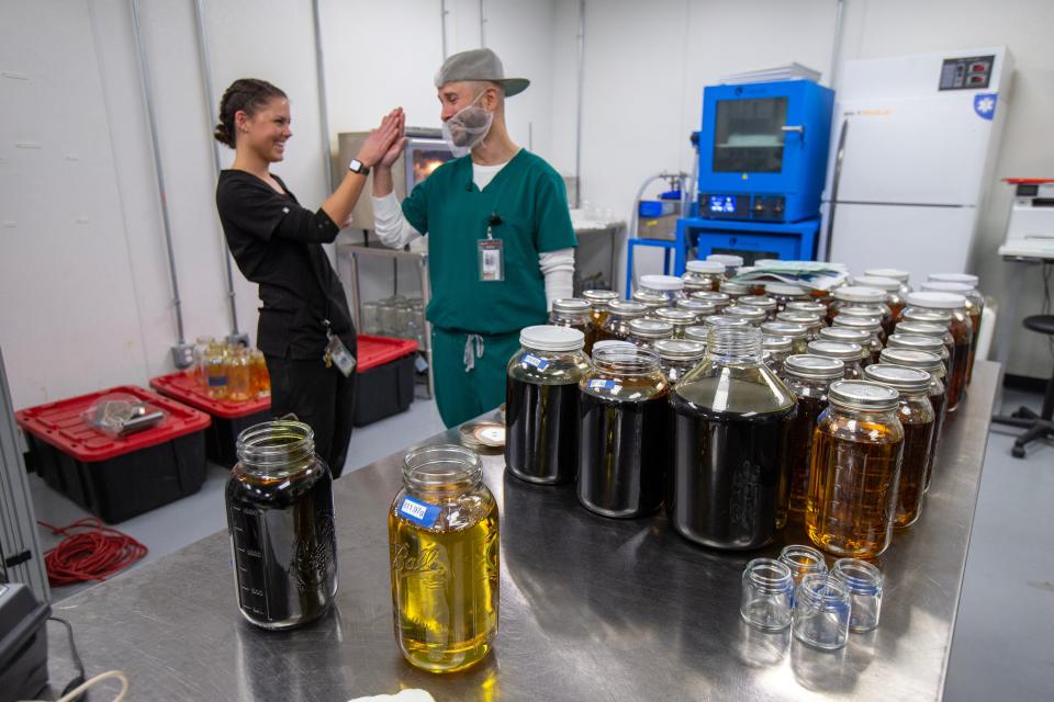 Charlotte Pizzuto, lab manager, and cultivation director Oscar Cabeza high-five after explaining the process of ethanol extraction and distillation to create cannabis oil, which is used in edibles and vape cartridges at Verano's cannabis cultivation center in Readington.
