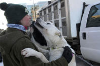 Cece Boyle, who works for musher Mille Porsild of Denmark, gets kisses from two of Porsild's dogs before the Iditarod Trail Sled Dog Race's ceremonial start in downtown Anchorage, Alaska, on Saturday, March 4, 2023. The smallest field ever of only 33 mushers will start the competitive portion of the Iditarod Sunday, March 5, 2023, in Willow, Alaska. (AP Photo/Mark Thiessen)