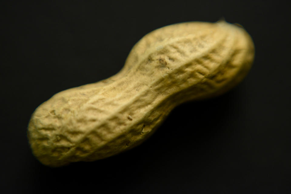 Children under the age of five shouldn't eat peanuts whole [APP]