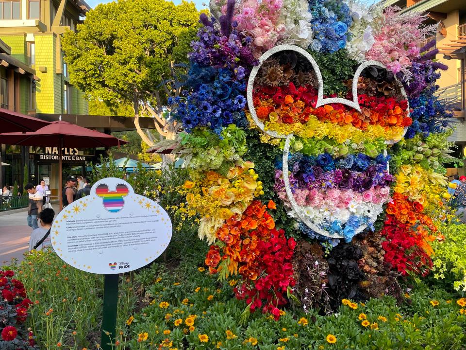 Pride flowers in Disneyland