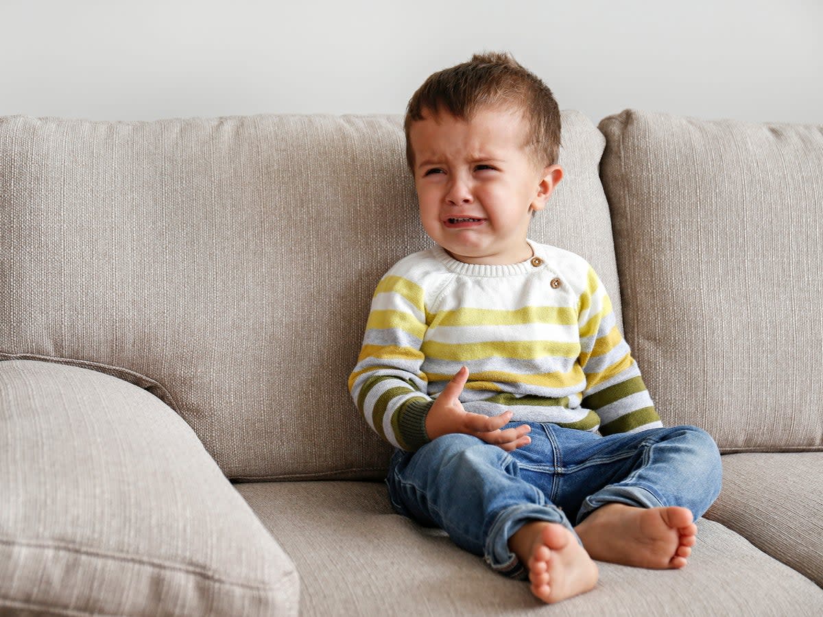Manchildren demonstrate ‘immaturity, emotional unavailability, and a reluctance to shoulder adult responsibilities’ (iStock)