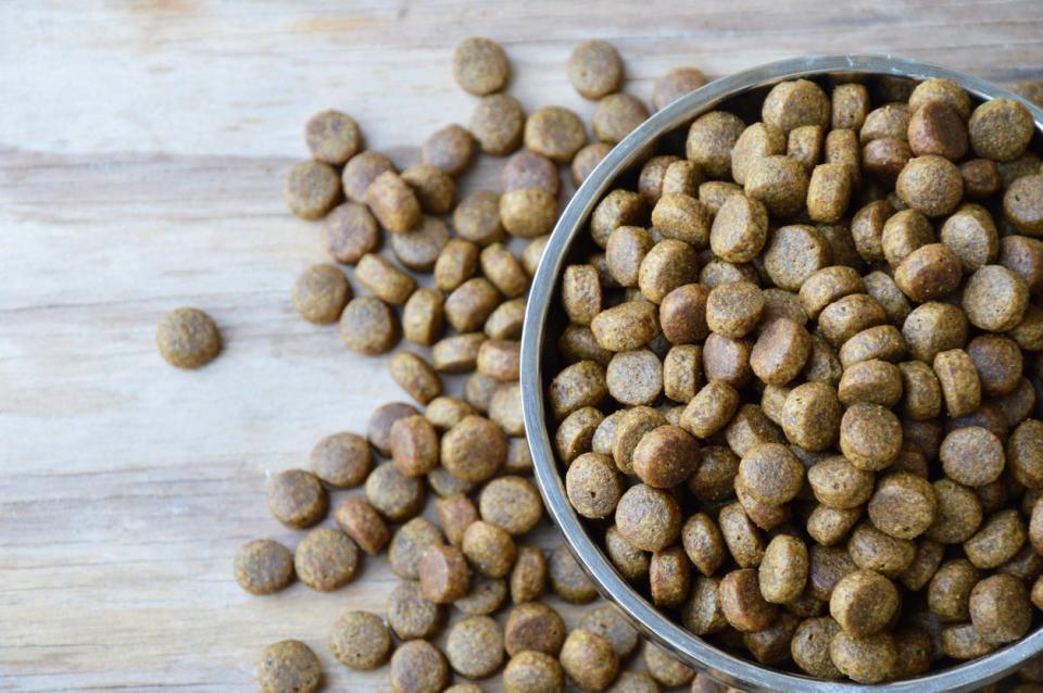 Bowl of dry pet food spilled over onto floor