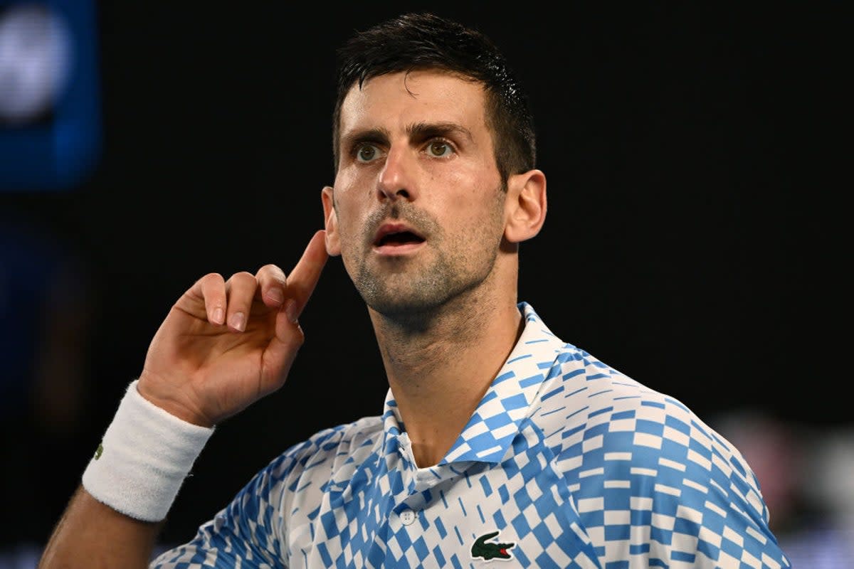 Novak Djokovic has won all nine of his previous Australian Open finals  (Getty Images)