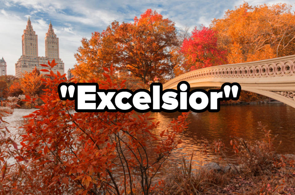 Bow Bridge in Central Park in the fall