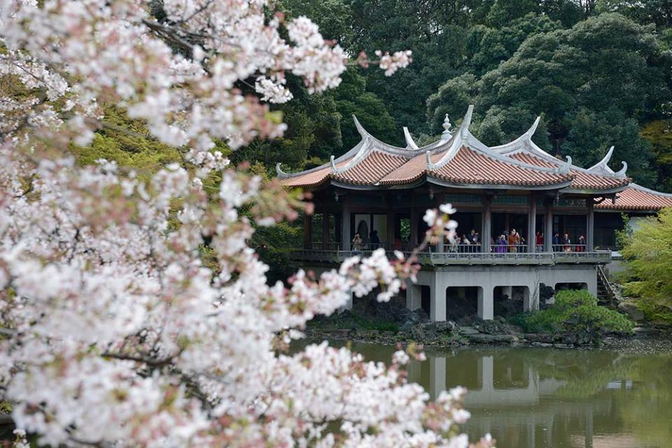 東京新宿御苑（Photo by Frédéric Soltan/Corbis, Image Source : Getty Editorial）