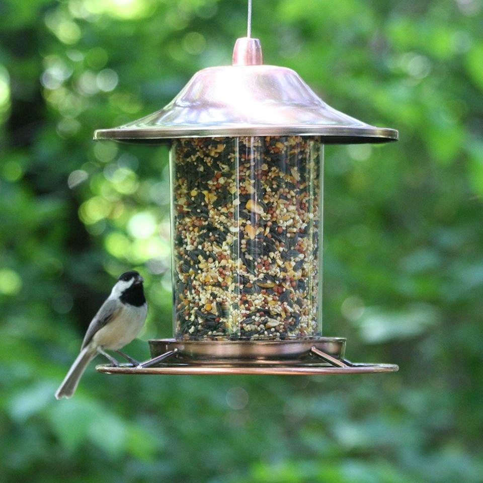 Copper Panorama Bird Feeder