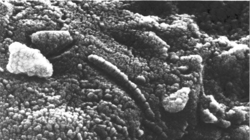 An electron microscopic image of chain structures in ALH84001.