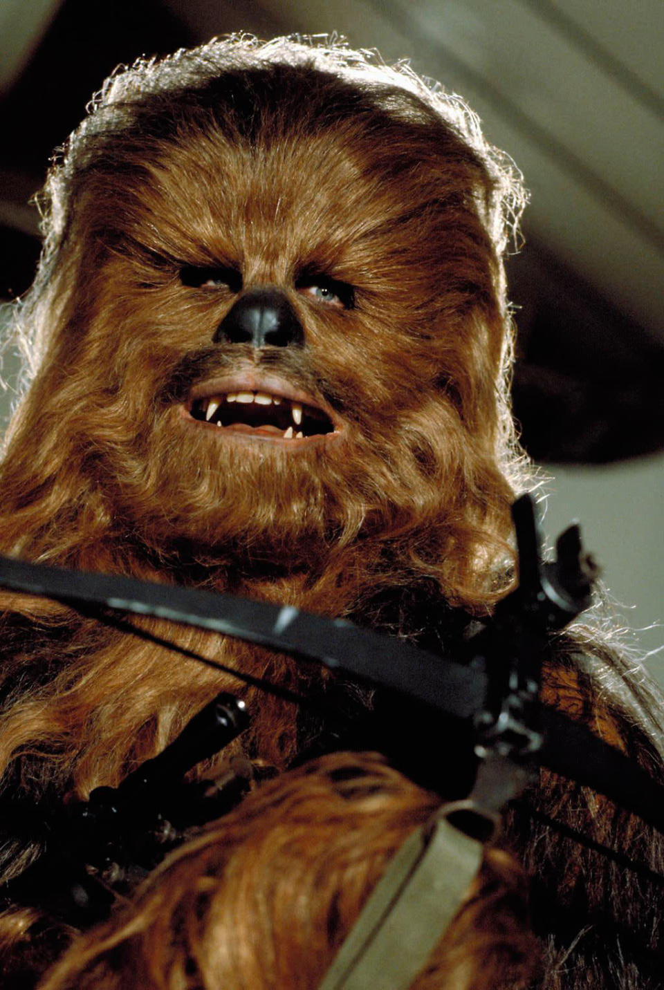 <b>Chewbacca</b> (Peter Mayhew)<br>"<a href="http://movies.yahoo.com/movie/star-wars/" data-ylk="slk:Star Wars;elm:context_link;itc:0;sec:content-canvas" class="link ">Star Wars</a>" (1977)