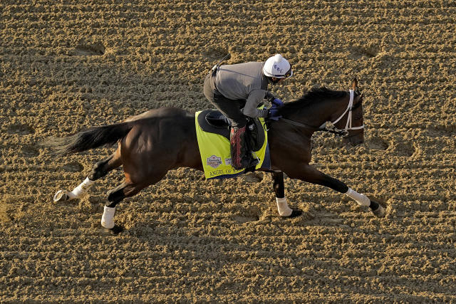 Kentucky Derby entrant Angel of Empire works out at Churchill Downs Thursday, May 4, 2023, in Louisville, Ky. The 149th running of the Kentucky Derby is scheduled for Saturday, May 6. (AP Photo/Charlie Riedel)