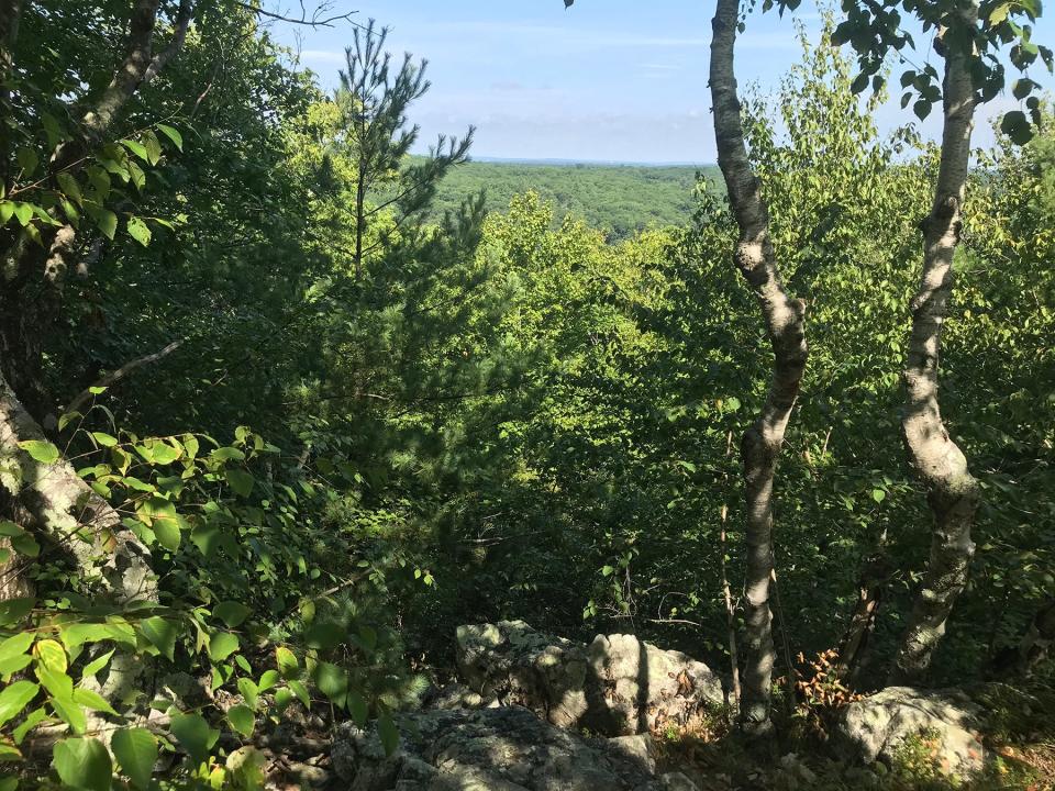 Looking northeast from the summit of Diamond Hill, hikers can see far into the forests of Massachusetts. 