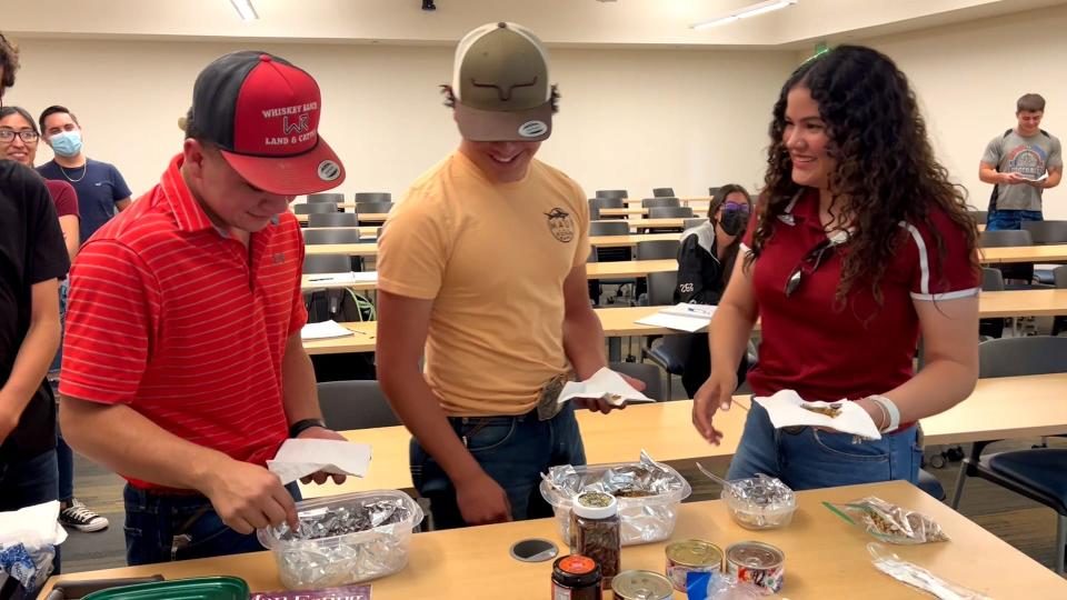 Toward the end of the semester, students in the class have the opportunity to experience something many others don’t: eating insects. This ranges from fried worms to grasshoppers — and even live mealworms.