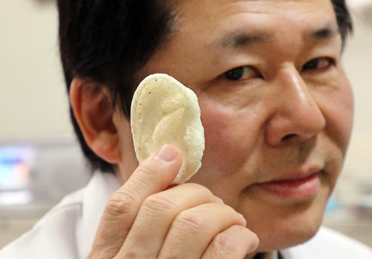 Tsuyoshi Takato, a professor at the University of Tokyo Hospital, displays an artificial ear made of polyactic acid and designed by a 3D printer at his laboratory in Tokyo on January 16, 2015