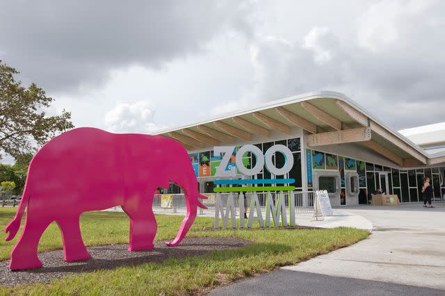 <p>AP Photo/Wilfredo Lee</p> Zoo Miami