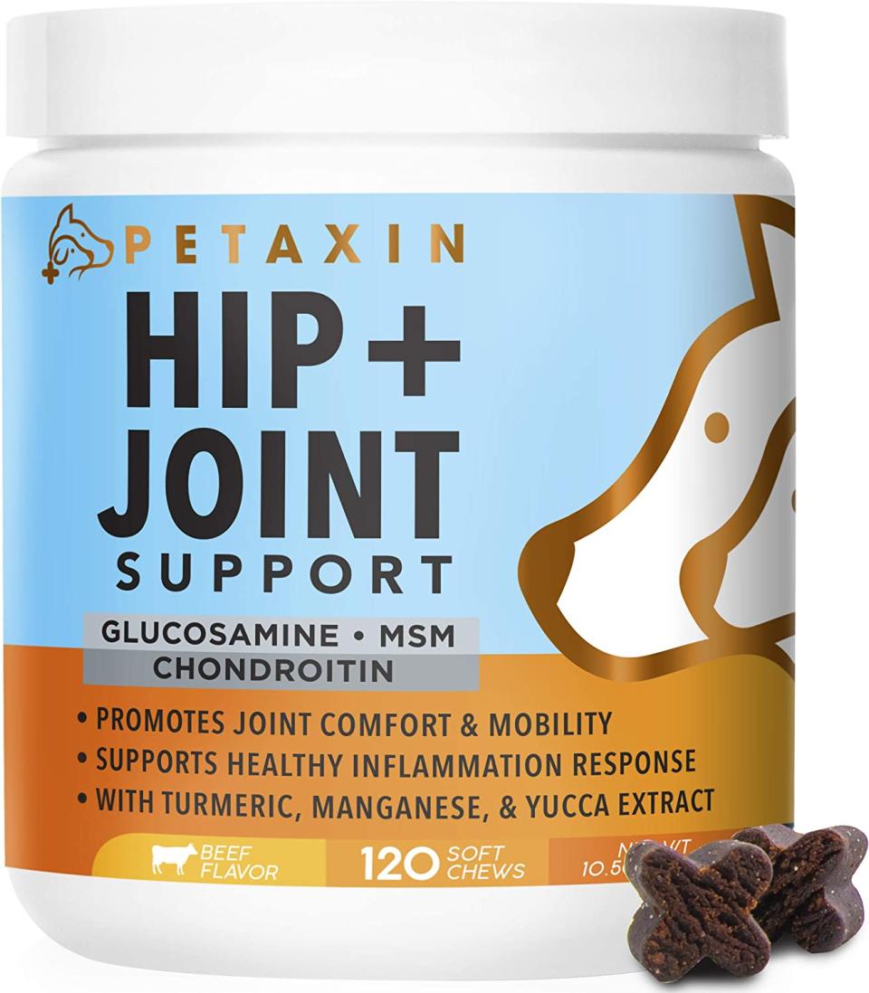 Petaxin HIp and Joint Support, joint supplement for dogs, dog joint supplement