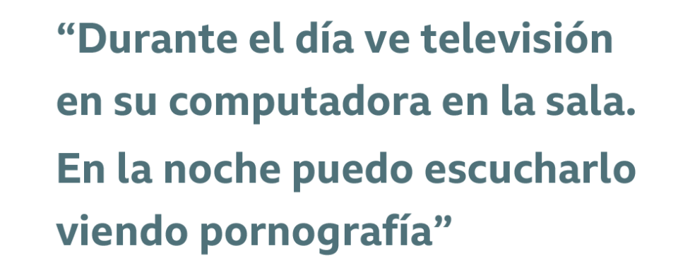 Cita: "Durante el día ve televisión en su computadora en la sala. En la noche puedo escucharlo viendo pornografía"