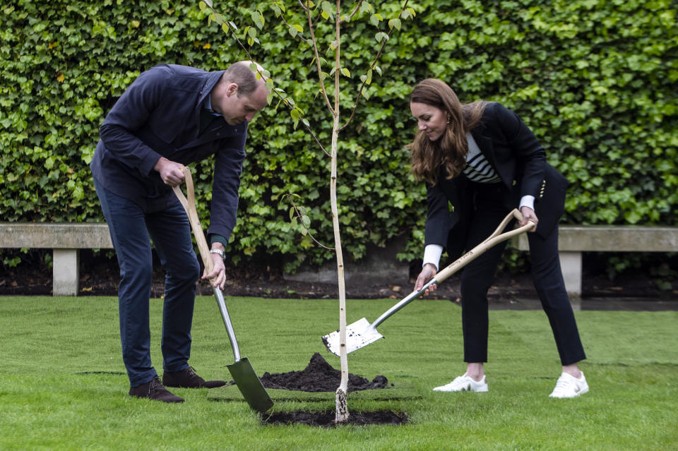 William y Kate plantan un árbol