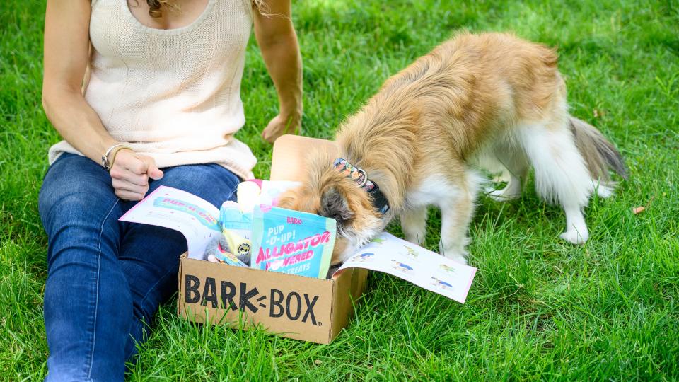 Best subscription gifts: Barkbox