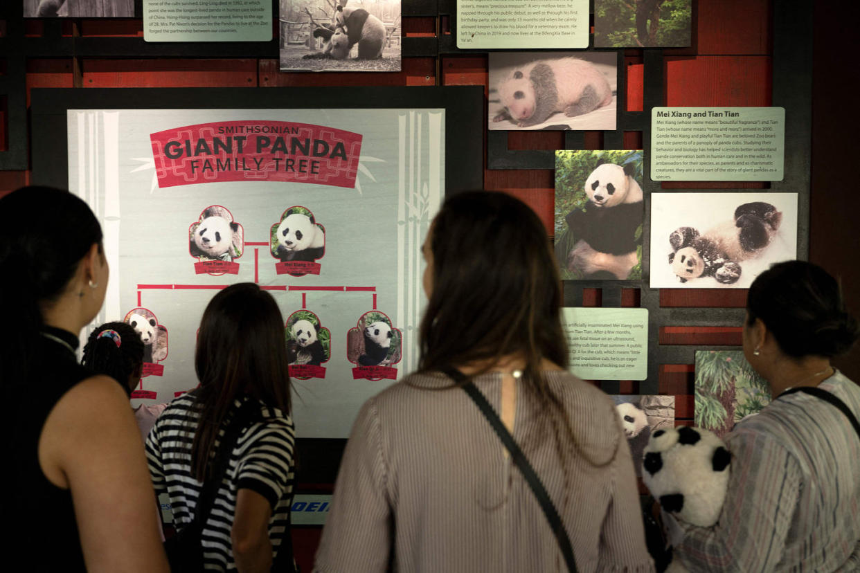 People view an exhibit at the Panda House at the Smithsonian National Zoo (Brendan Smialowski / AFP via Getty Images file)